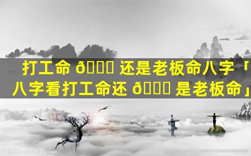 打工命 🍀 还是老板命八字「八字看打工命还 🐈 是老板命」